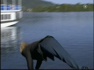 HochwÃ¼rdens Ã„rger mit dem Paradies