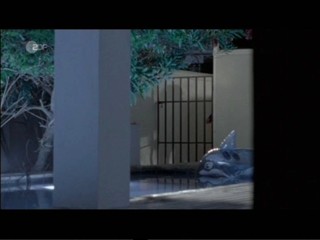 Ein Sommer In LongIsland