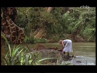 Eine Rose Fuer Den Maharadscha