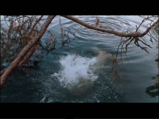 Das Wunder von Berlin