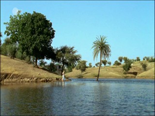 Rebecca Ryman - Wer Liebe verspricht