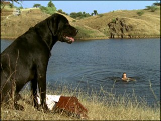 Rebecca Ryman - Wer Liebe verspricht