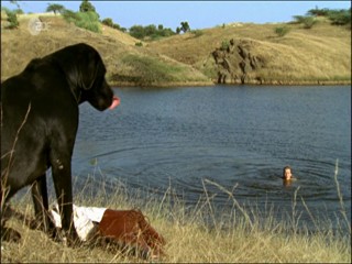 Rebecca Ryman - Wer Liebe verspricht