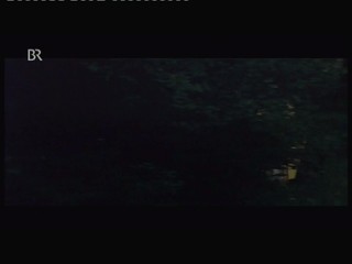 Wer frÃ¼her stirbt ist lÃ¤nger tot