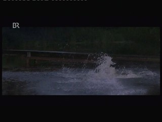 Wer frÃ¼her stirbt ist lÃ¤nger tot