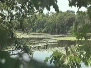 Cache Cash - aka Lisa and Antoine