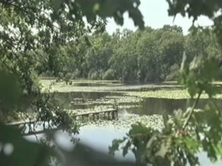 Cache Cash - aka Lisa and Antoine