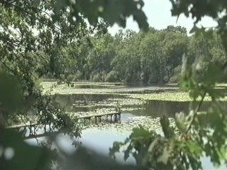 Cache Cash - aka Lisa and Antoine