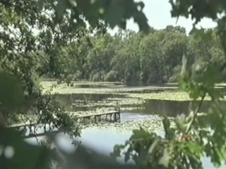 Cache Cash - aka Lisa and Antoine