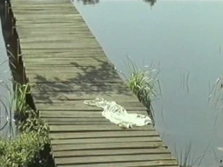 Cache Cash - aka Lisa and Antoine