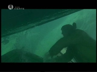 Cascadeur - Das Bernsteinzimmer