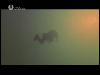 Cascadeur - Das Bernsteinzimmer