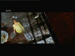 Fanaa - Im Sturm der Liebe