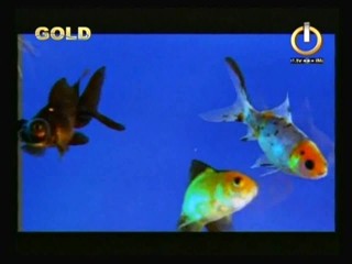 2 Unlimited - Nothing LikeThe Rain