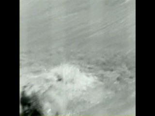 Playboy Video Special - Farrah Fawcett