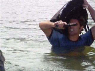 Island Of Beasts (Komodo Vs. Cobra)