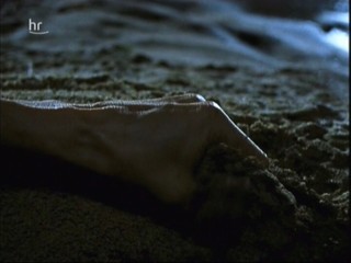 Klinik unter Palmen â€“ Karibik