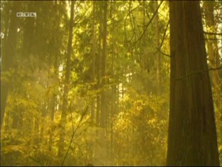 Journey to the Center of the Earth