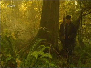 Journey to the Center of the Earth