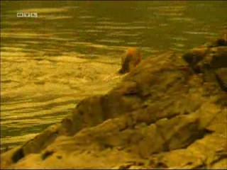 Journey to the Center of the Earth