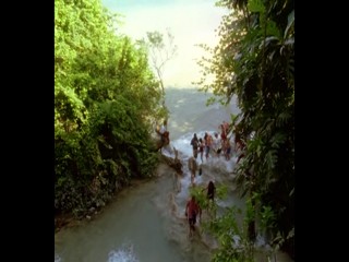 Das Traumschiff - Jamaika