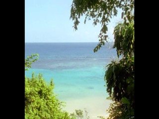 Das Traumschiff - Jamaika