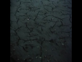 Die Besucher â€“ NÃ¡vÅ¡tÄ›vnÃ­ci