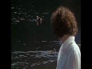 Die Schwarzwaldklinik