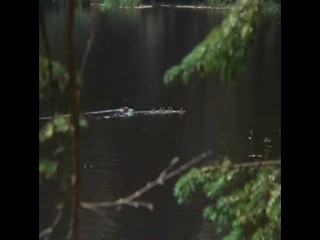 Die Schwarzwaldklinik