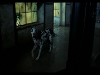 Il giardino dei Finzi Contini