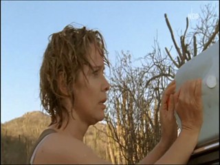 Im Meer der LÃ¼gen