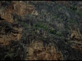 Visus - Expedition Arche Noah