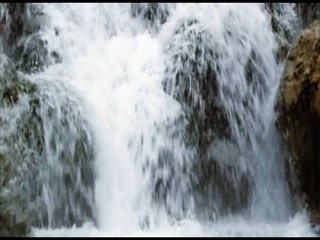 Visus - Expedition Arche Noah