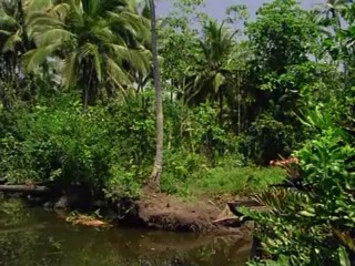 Sterne des SÃ¼dens - Flucht aus dem Dschungel