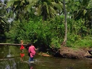 Sterne des SÃ¼dens - Flucht aus dem Dschungel