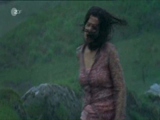 Rosamunde Pilcher - Vier Frauen / VirginiasGeheimnis