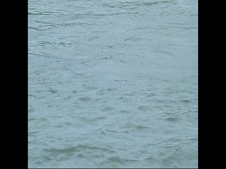 Und Tschuess - Der Mustang