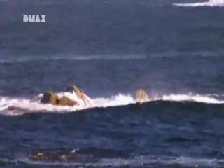 Man, Woman, Wild - Tasmania