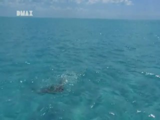 Man, Woman, Wild - Lost at Sea, Bermuda