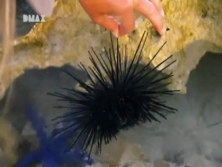 Man, Woman, Wild - South Pacific