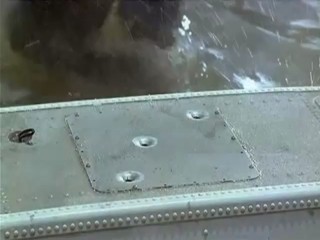 Amazon A Bible and a Gun