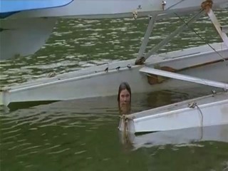 Amazon A Bible and a Gun