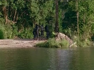 Amazon A Bible and a Gun