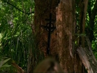 Amazon Fallen Angels