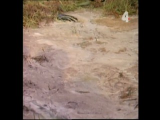 Tarzan and the Enemy Within - Part 2 (messy)