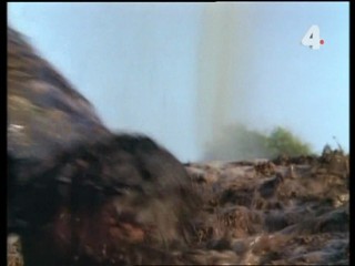 Tarzan and the Mysterious Sheik