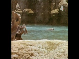 Tarzan and the Woman of Steel