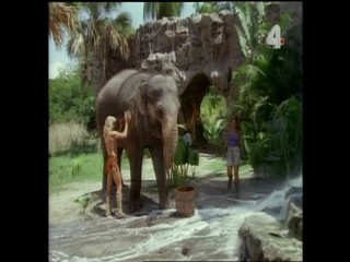 Tarzan and the Polluted River