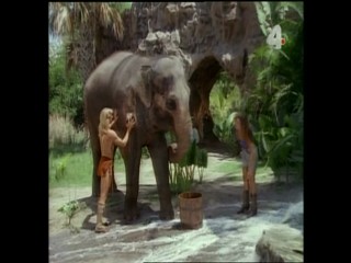 Tarzan and the Polluted River