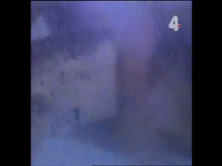 Tarzan and the Mating Season